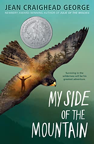 Christian Review of My Side of the Mountain